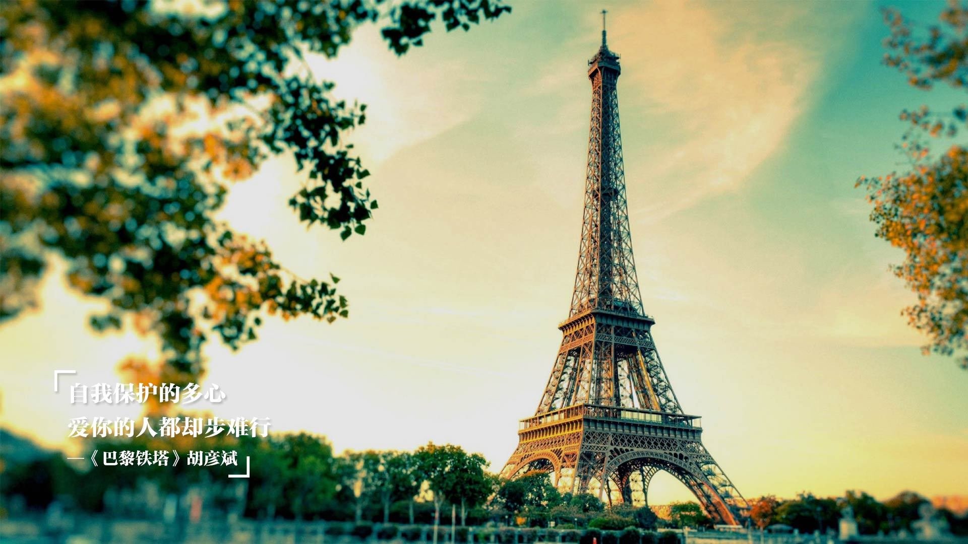 九游娱乐官方网站-“2025世界运动会：定向越野赛场上的极速徒步”