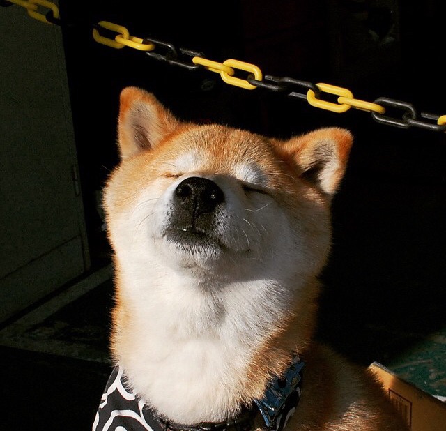 “高新体育中心：沙滩排球赛事燃起热潮，选手拼劲力”