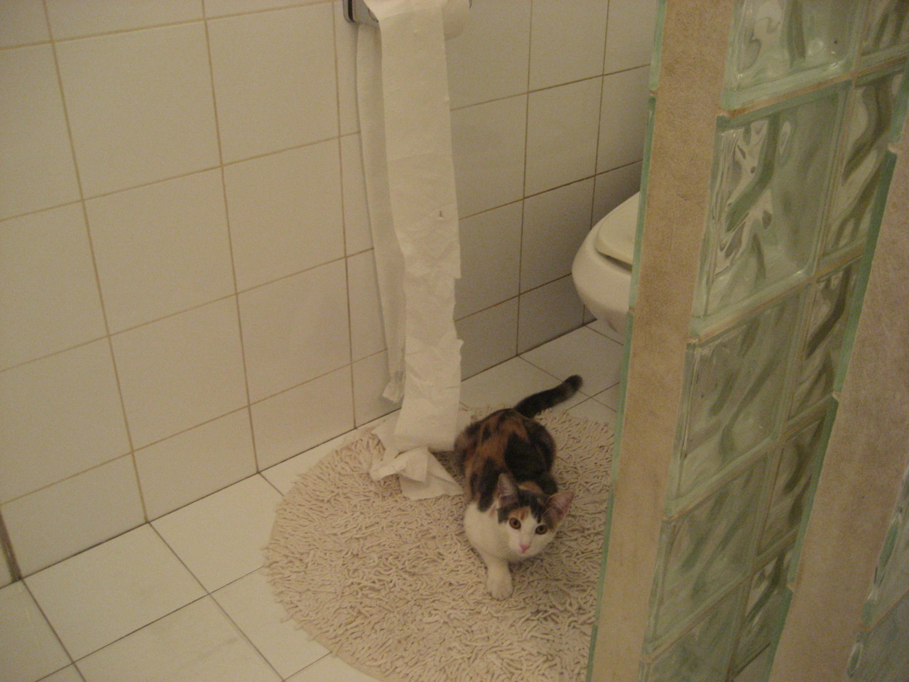 上海男篮新援表现抢眼成为黑马球队关键一环，上海男篮新人