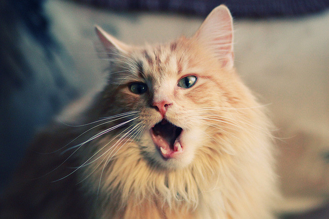 九游下载中心-中国男篮重视热身赛战术演练价值，中国男篮热火