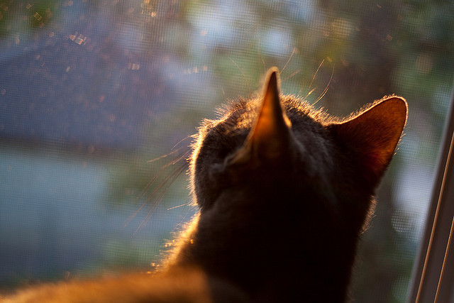 后防失误频率是否决定球队最终排名走势，后防最好的球队