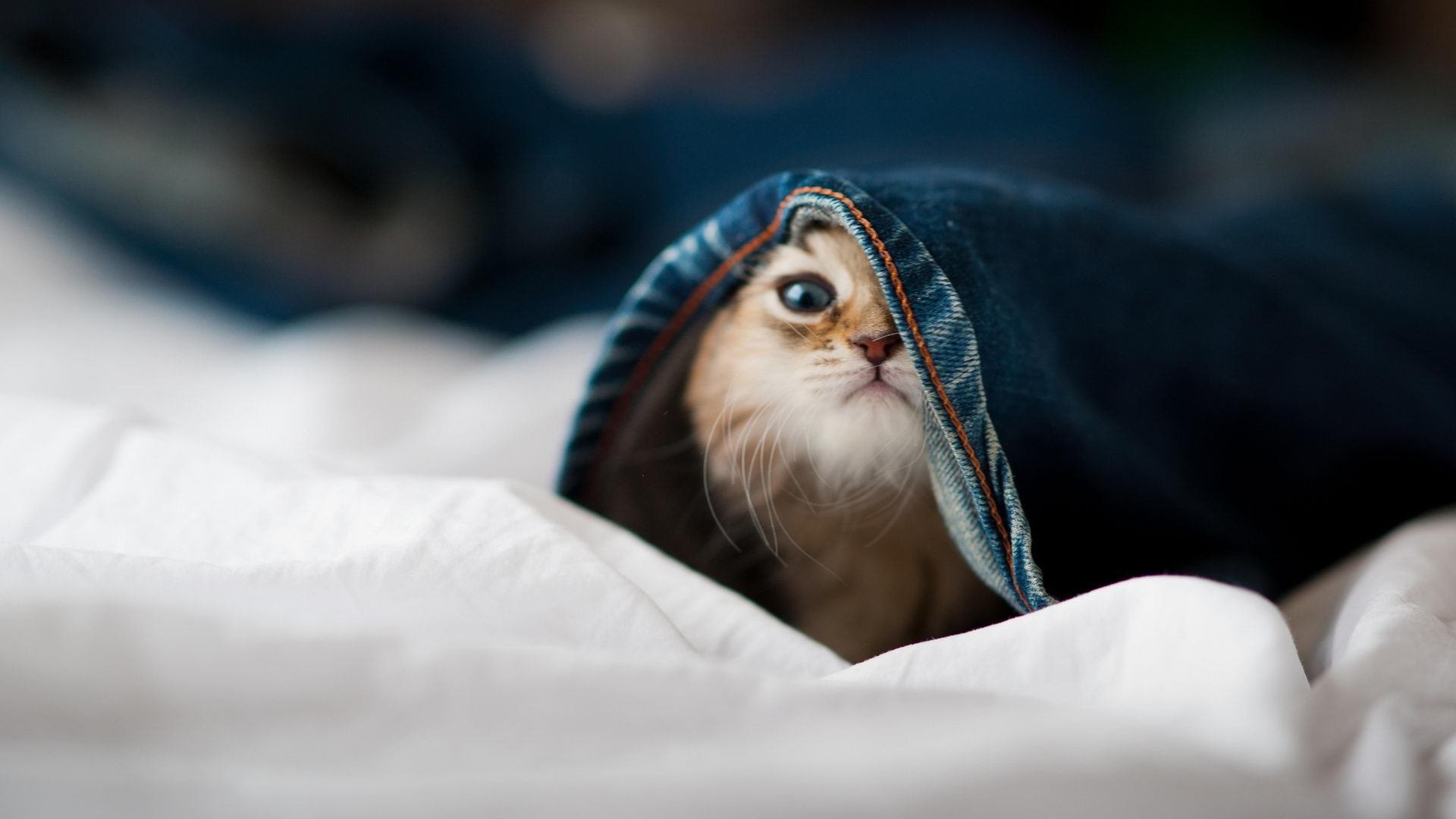 得分核心是否应掌控节奏主导权