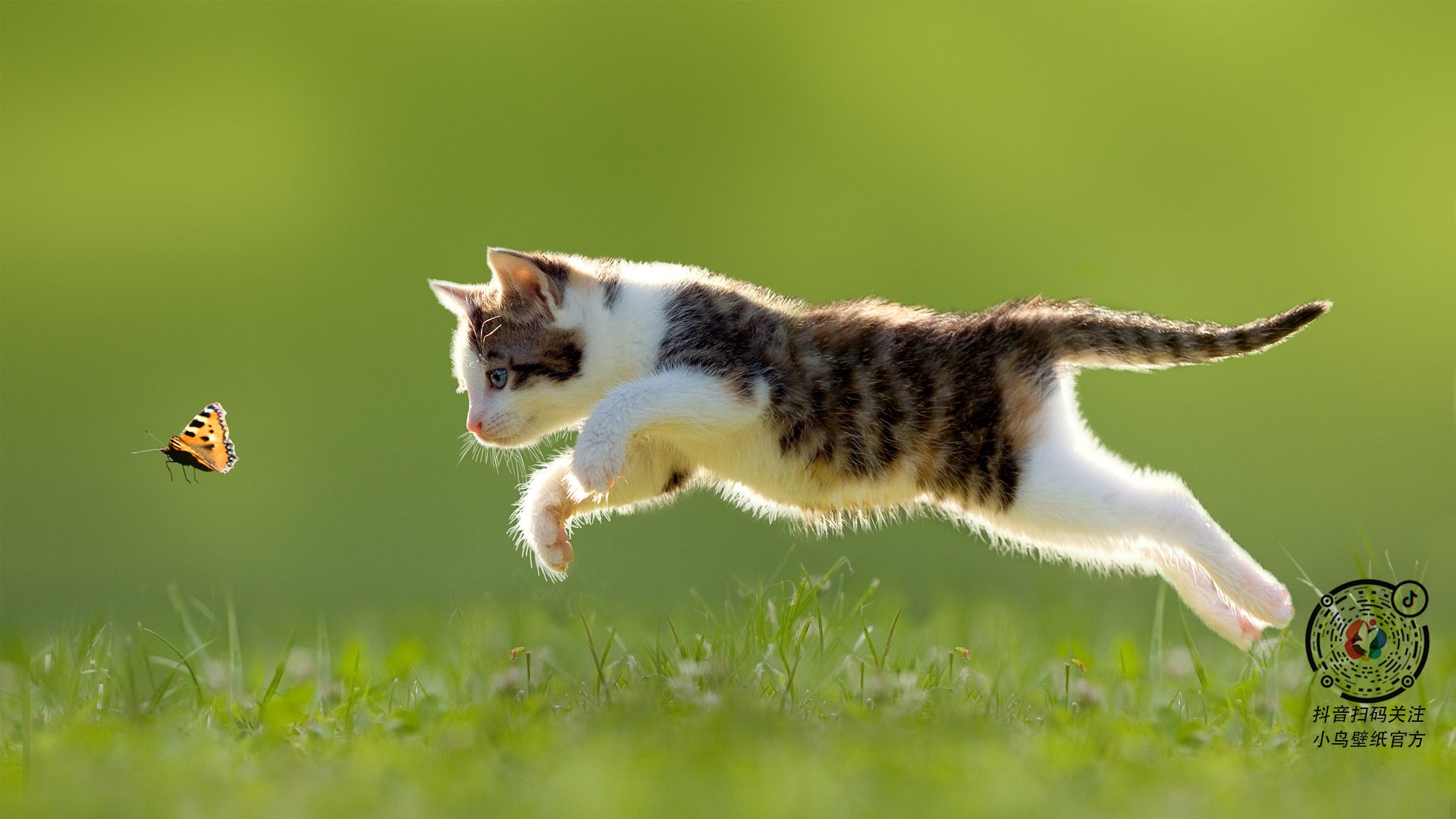 九游娱乐(jiuyou)官网-本菲卡防线冷静应对博卡冲击，本菲卡引援