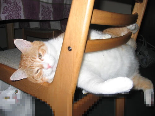 沃尔夫斯堡快速推进撬动对方防线漏洞，沃尔夫斯堡市