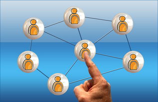 JIUYOU GAMING-中小学篮球课程内容不断丰富提升学生篮球综合素养，中小学篮球教学方法