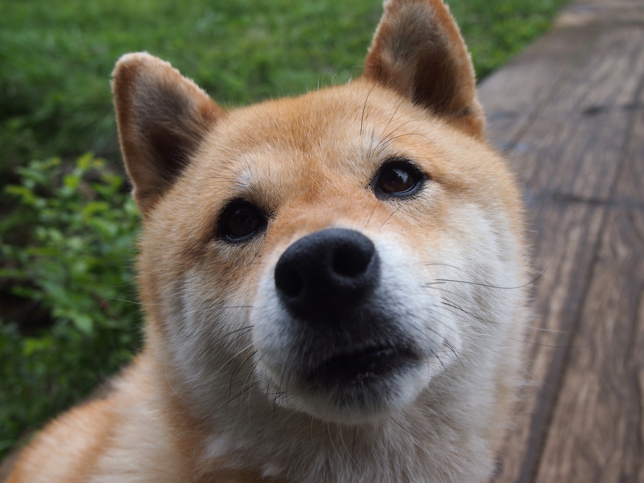 九游官网下载电脑版-女子联赛推动青少年裁判员计划增加执法储备力量，2020官方赛事裁判培养计划